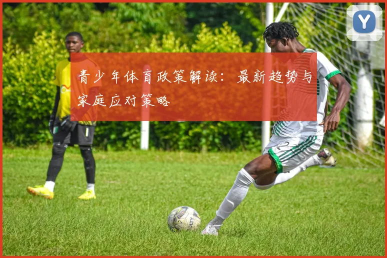 青少年体育政策解读：最新趋势与家庭应对策略