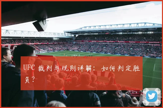 UFC 裁判与规则详解:如何判定胜负?
